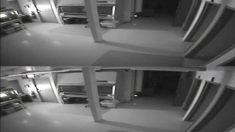 1702CRIB01CribAnalysisArea_2021-01-05_05h20min00s347ms.mp4