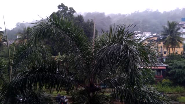Watching rain through the window