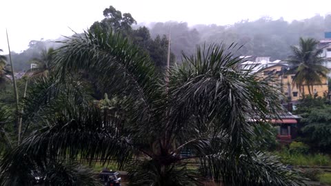 Watching rain through the window