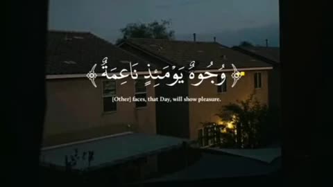 quran tilawat | peace of heart