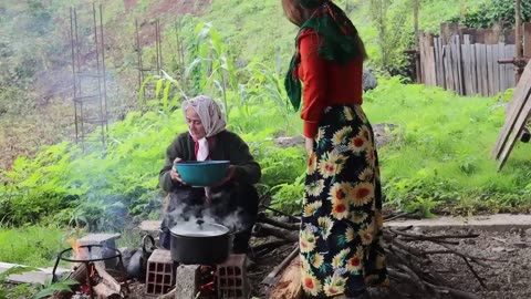 New recipe , cooking Nar'dooneh chicken with coleslaw in nature