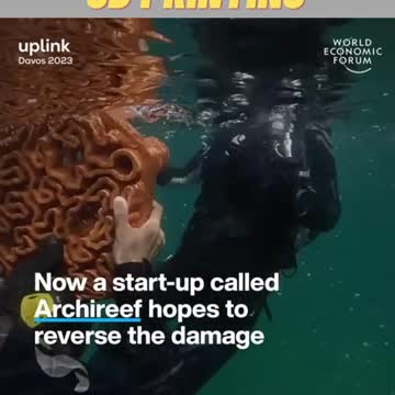 3D-printed tiles could help save Hong Kong's coral.3D printing save Hong Kong's coral. #hongkong