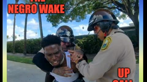 The Negro Wake Up Call