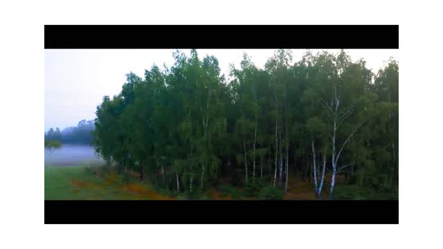 Drone Shoot Of A Forest And Road At Sunrise