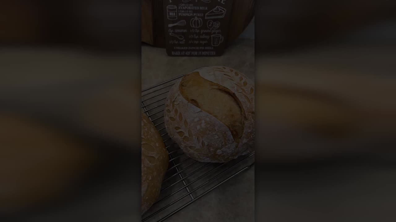 Sun Kissed Sourdough Promo - Official