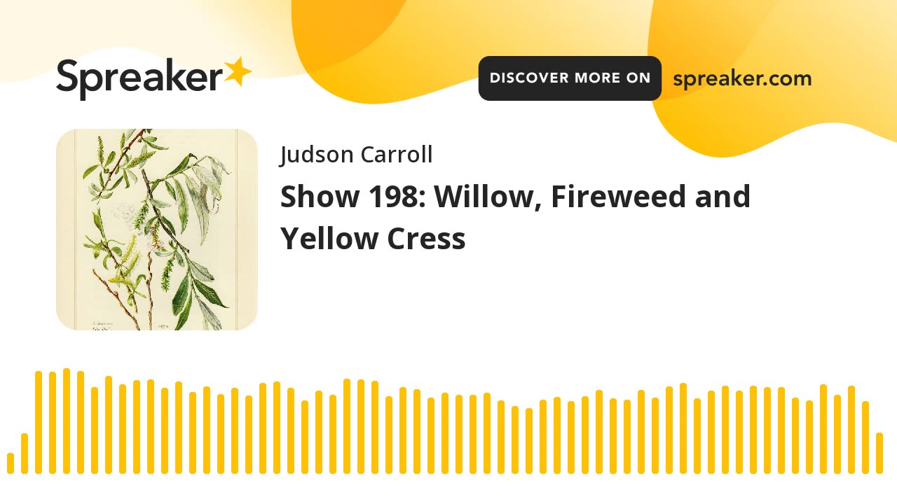 Show 198: Willow, Fireweed and Yellow Cress