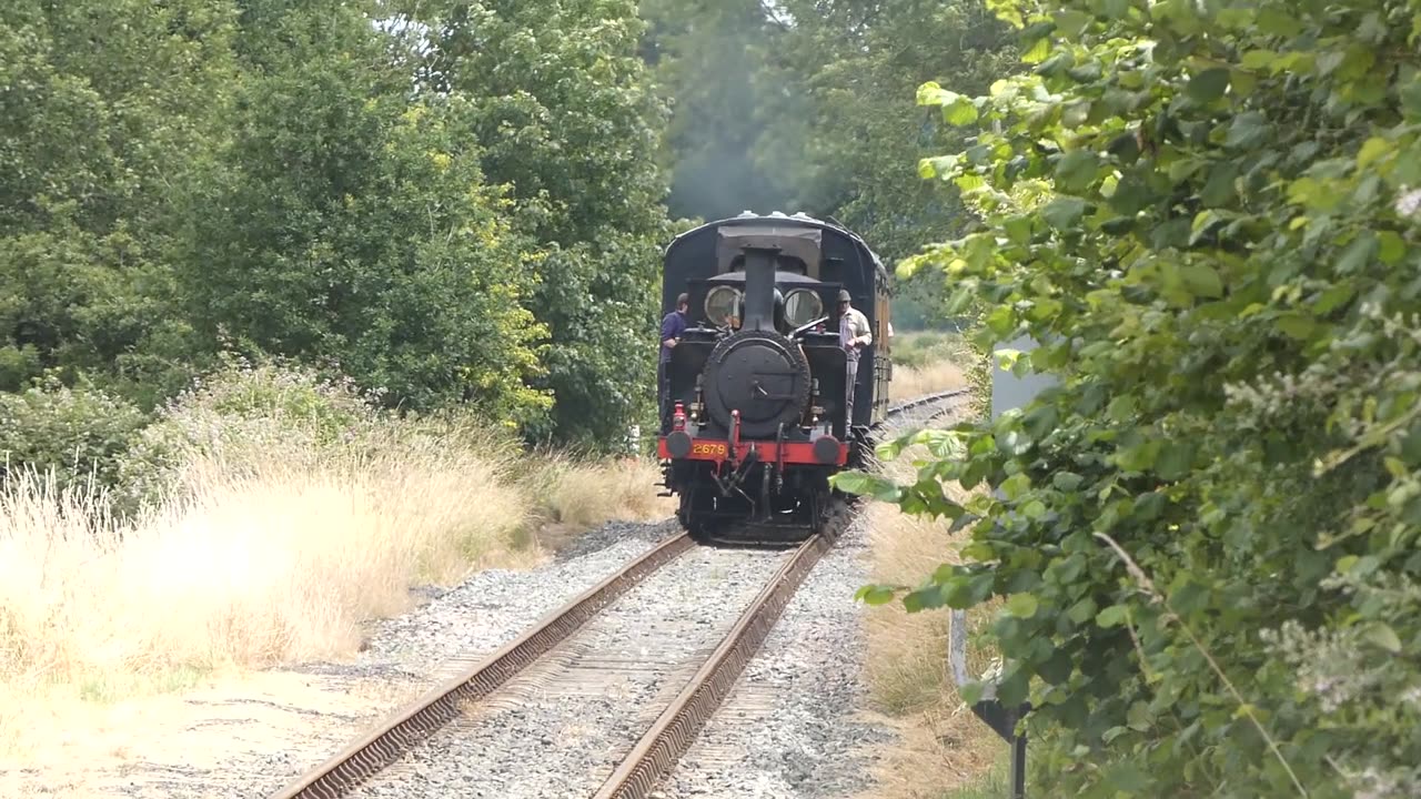 Southern Terrier Approaching Into Bodiam, East Sussex UK 2022