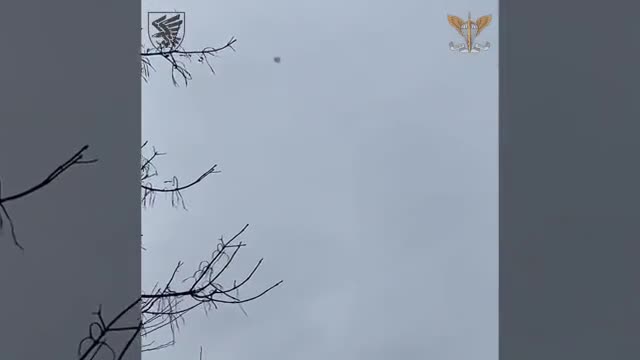 Use of a British Starstreak MANPADS to shoot down an alleged Russian Orlan-10