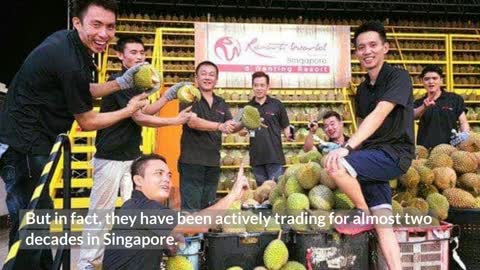 Singapore Durian 2022 - 8 Best Place In Singapore to Get Durains