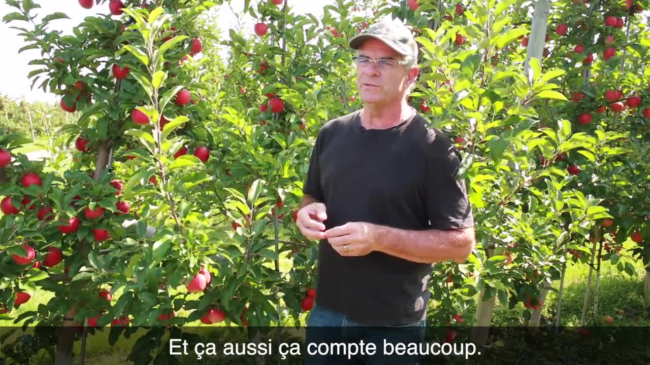 Les Travailleurs Agricoles Saisonniers Au Canada : Le Point De Vue De L’employeur