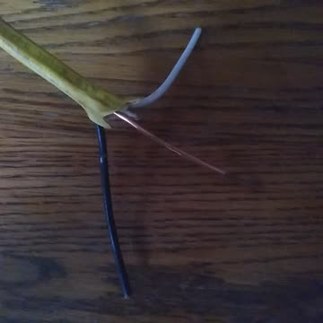 Identifying Wires With 120 volt circuit wires?