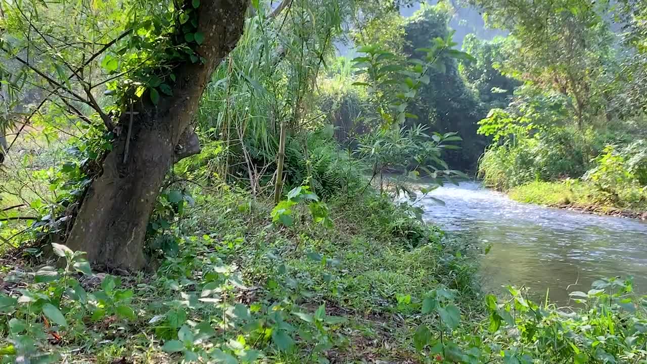 Build a wonderful shelter in the middle of a stream with adorable baby monkeys-2