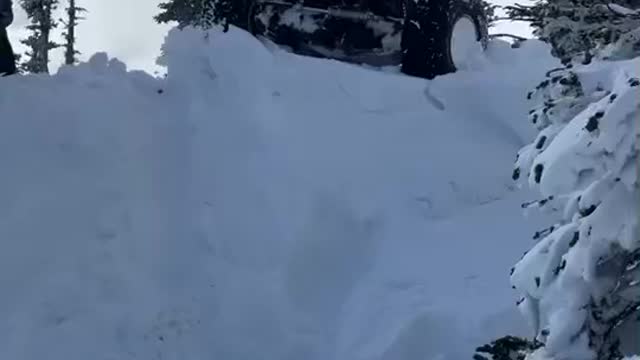 Snow Wheeling