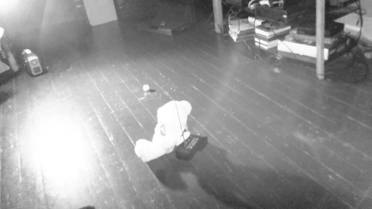 Private Home Investigation