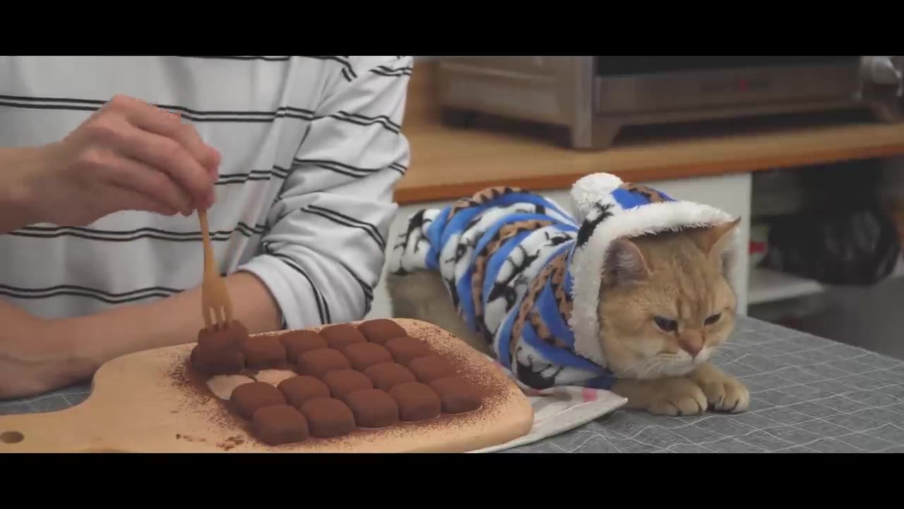 Recette facile de truffes au chocolat et au lait condensés [2 ingrédients]