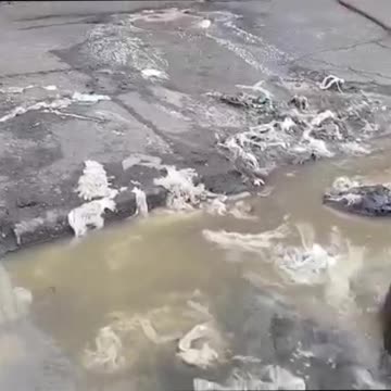 eThekwini deputy mayor says King Edward VIII Hospital is also to blame for sewage spill