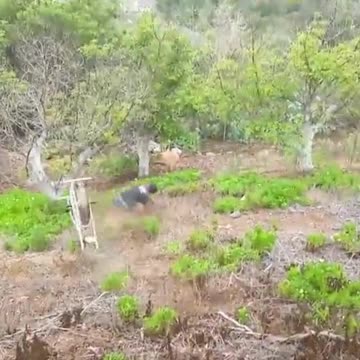 what were they thinking. 😂