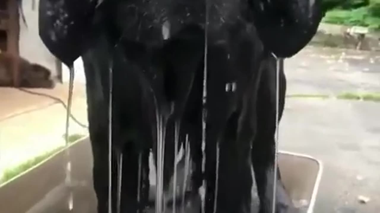 Dry 😶‍🌫️ VS Wet 🥶 😱