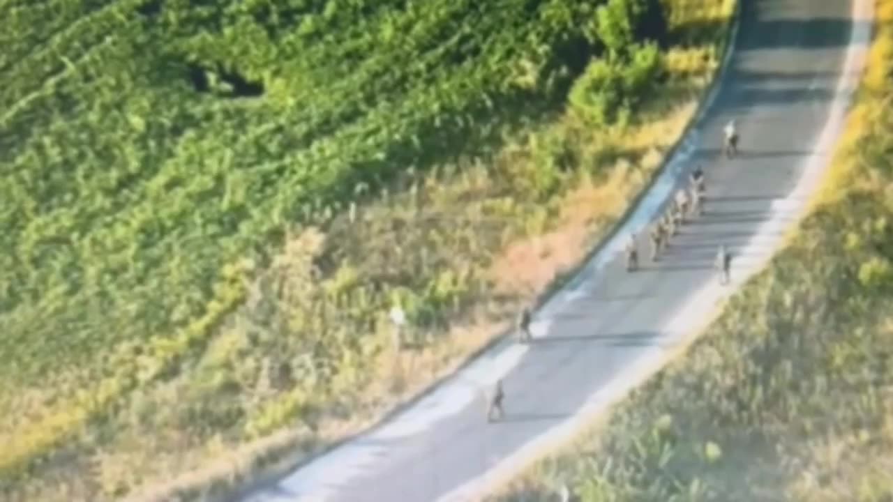 At least 40 Russian Soldiers Surrender Near Kursk