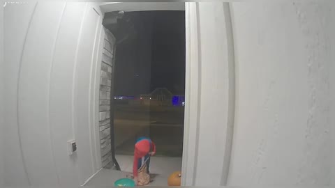 Generous Trick or Treater Puts His Own Candy into Empty Bowl