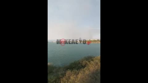 Φωτιά στα Ψαχνά Ευβοίας 1