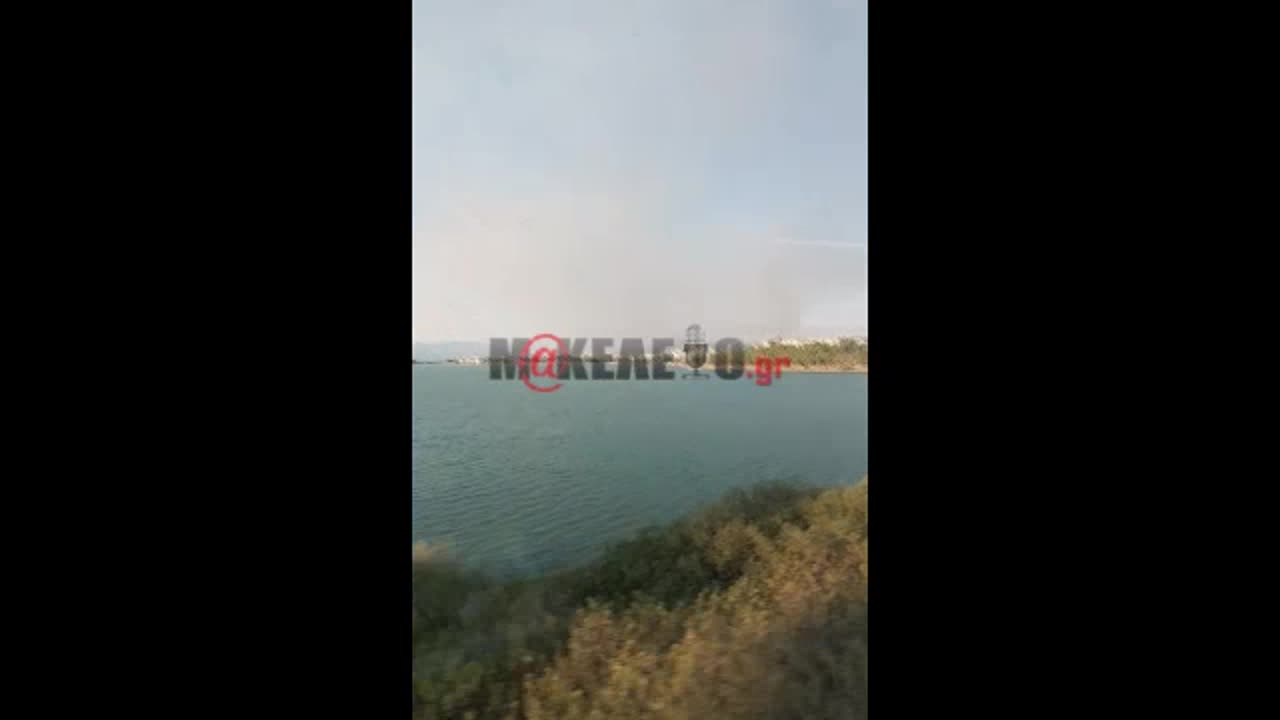 Φωτιά στα Ψαχνά Ευβοίας 1