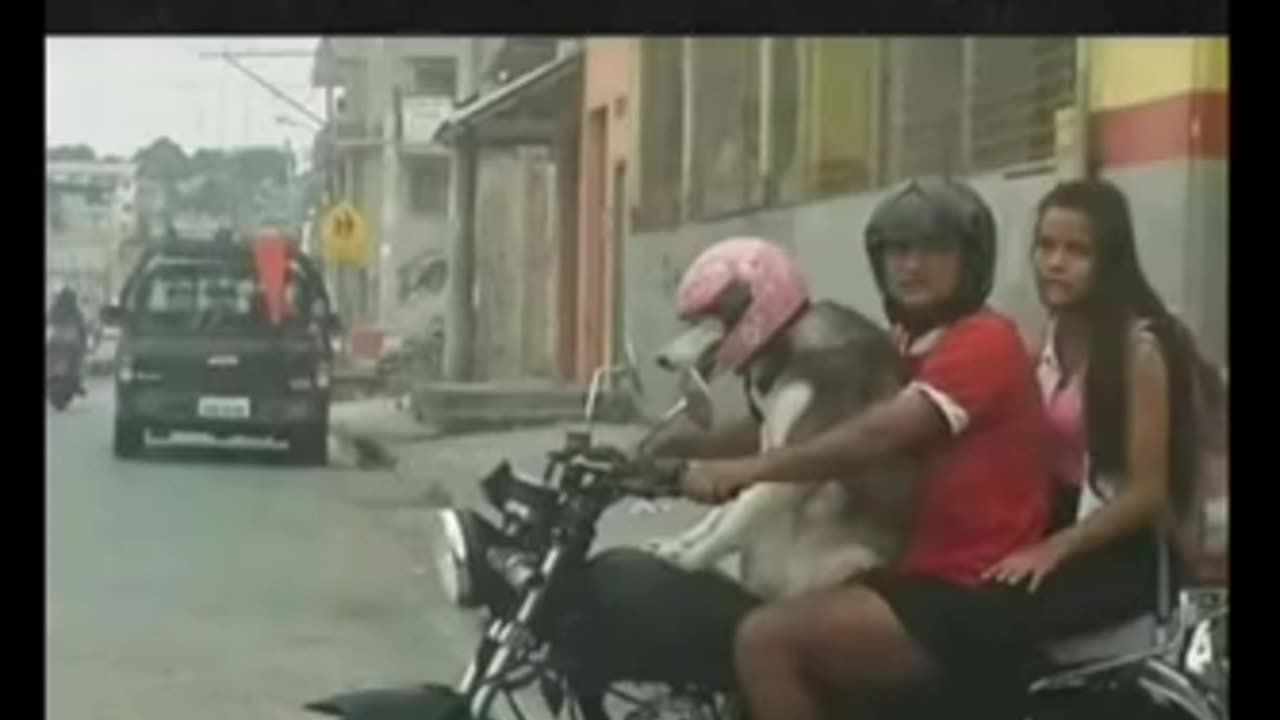 Memes that will make you laugh | Funny Memes 😂😂