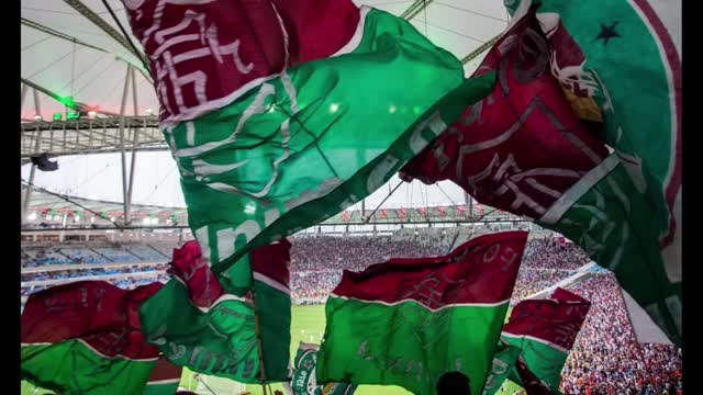 luis castro, Palmeiras vs Santo André, Fluminense...