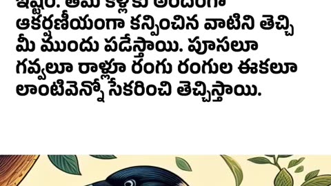 Crow is an intelligent bird | తెలివైన పక్షిజాతి కాకి, రుణం ఉంచుకోవు. |