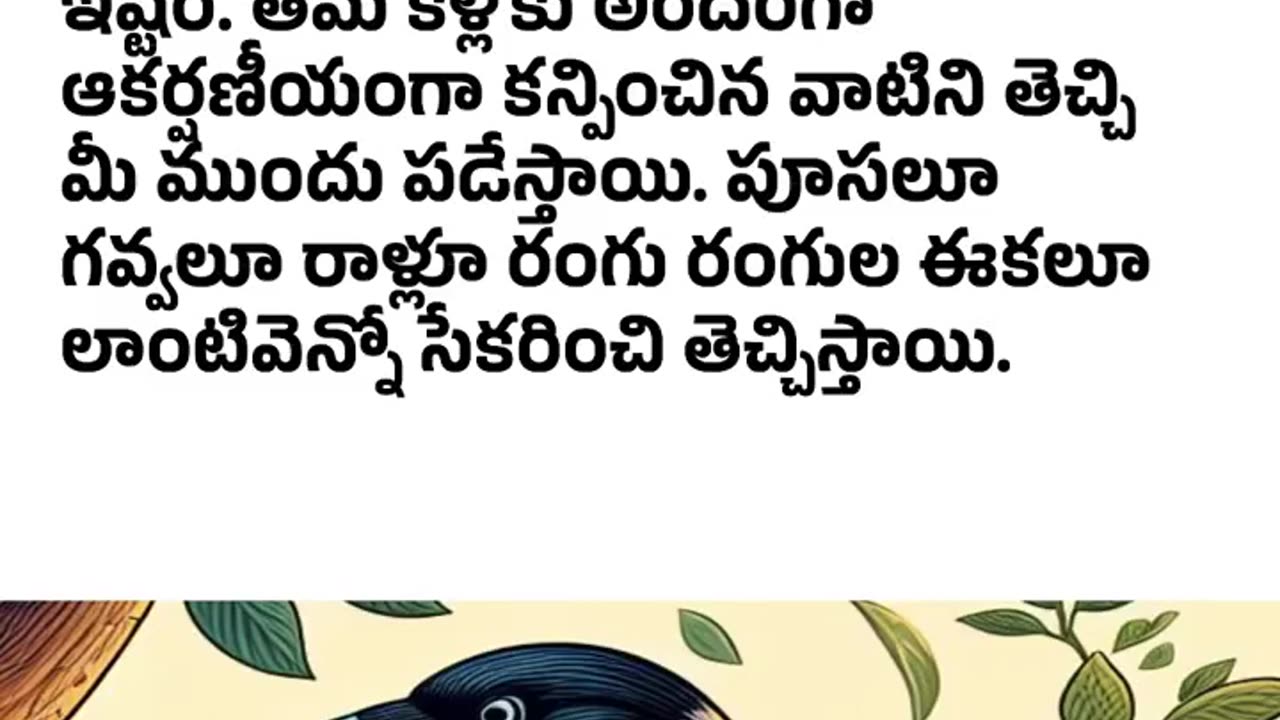 Crow is an intelligent bird | తెలివైన పక్షిజాతి కాకి, రుణం ఉంచుకోవు. |