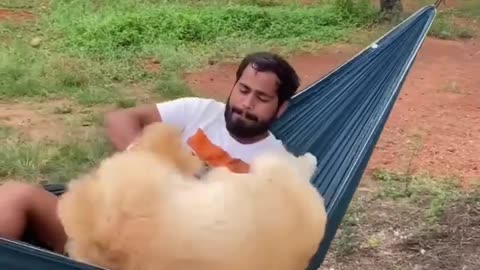 Funniest Animals!! Part 03