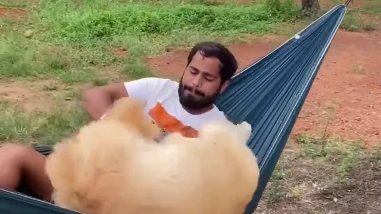 Funniest Animals!! Part 03