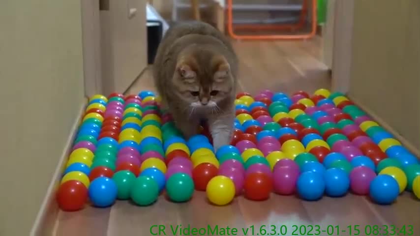 Colorful balls