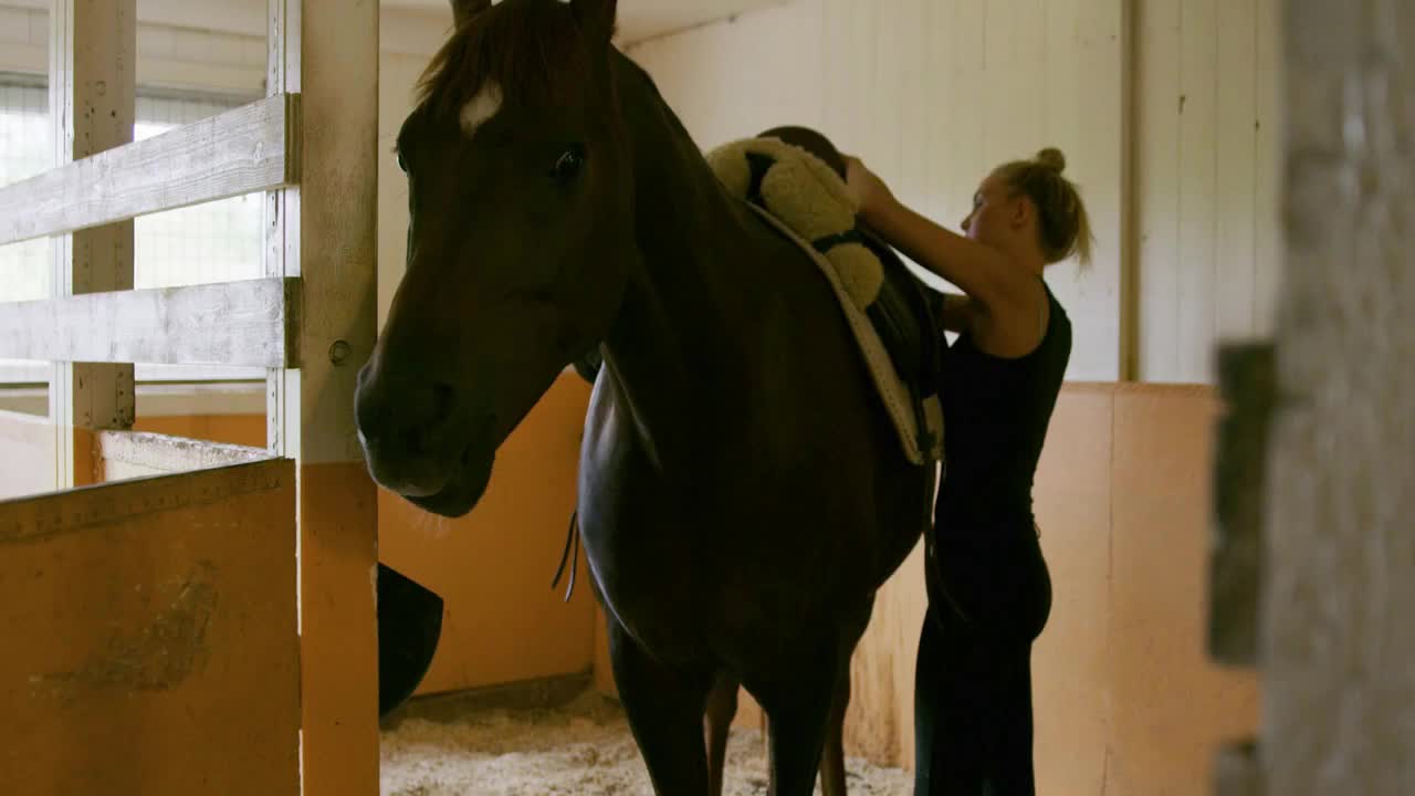 Young woman saddling up her horse for horseback riding indoors in stable