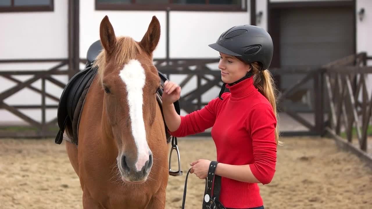 oung woman jockey petting a horse at horse farm