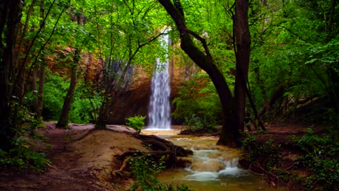 Landscape waterfall in a forest and trees for rest