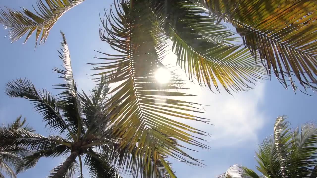 Sounds of Creation Season 1 Episode 7 Natures Harmonics