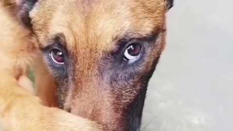 This eye matches well