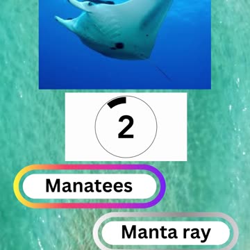 Fish Frenzy 22 A fast-paced quiz