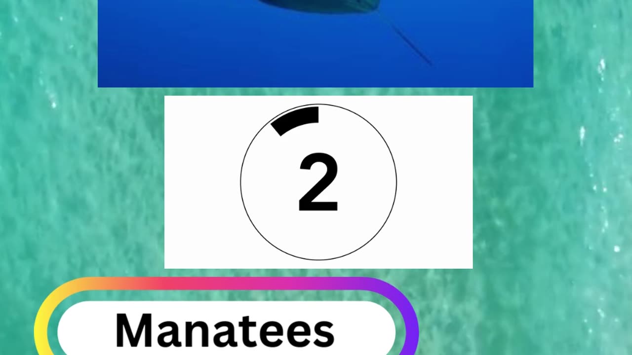 Fish Frenzy 22 A fast-paced quiz