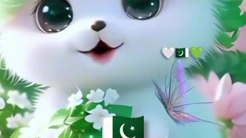 Pakistan independence day