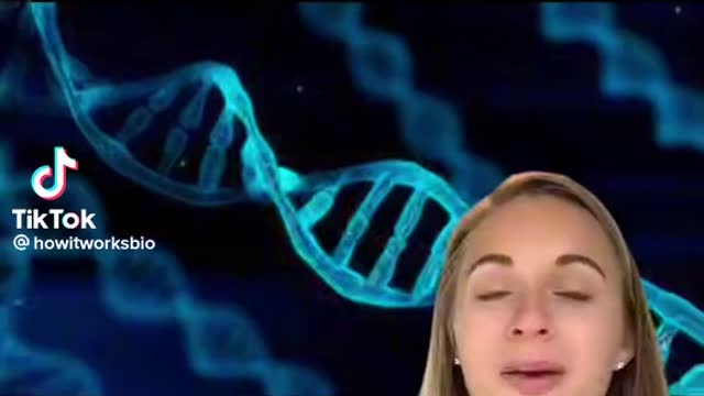 DNA facts for you to study