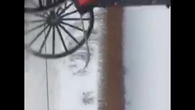 Amish Skijor