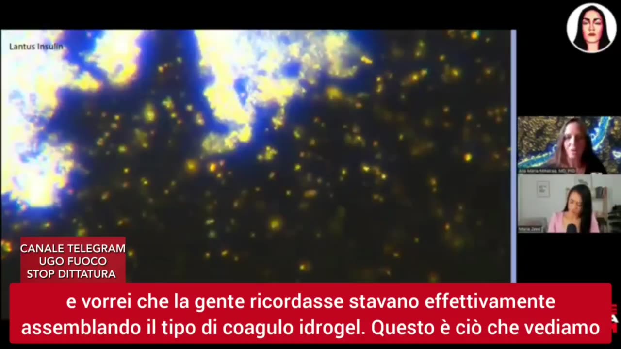 🔴💣FORME DI VITA INTELLIGENTI PRE-PROGRAMMATE INTRODOTTE NELL'ORGANISMO ATTRAVERSO I VACCINI.