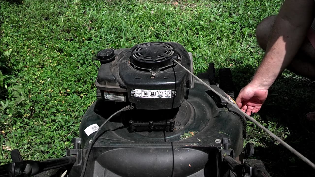 Summer lawn mowing in south Florida is so much fun!!!