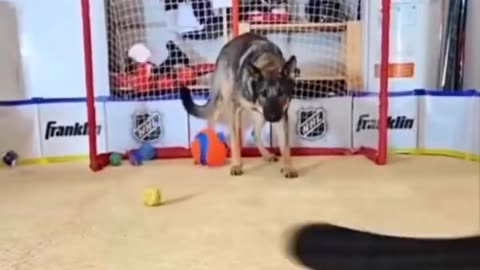 Focus on your objective, and do not disperse yourself with everything that is not.