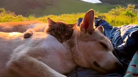 Besties
