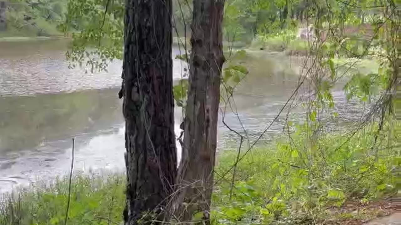 Peaceful lake vibe