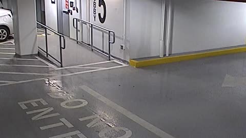 6080RHOBG3G305ANorthLobbyEntry_2021-01-06_14h40min03s263ms.mp4