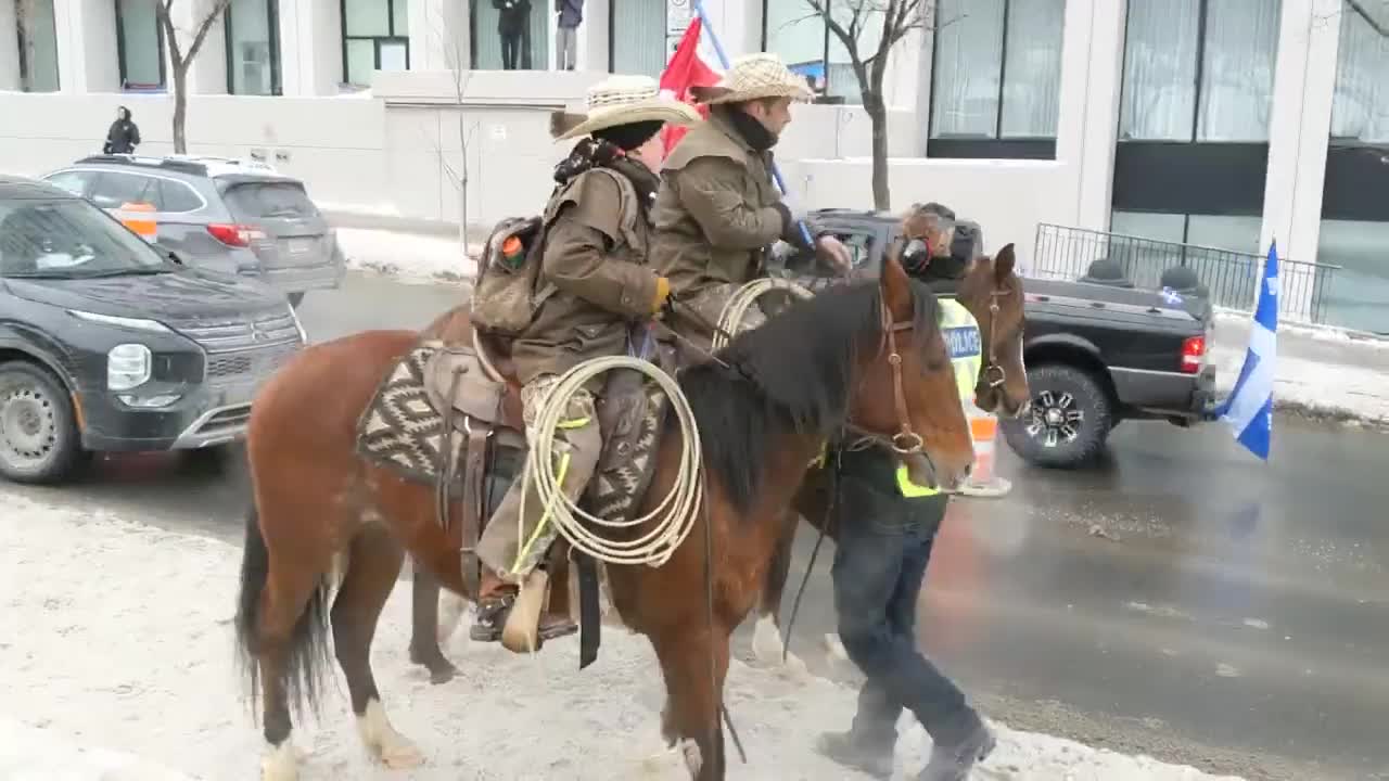 🔴 QUEBEC CITY CANADIAN TRUCKER FREEDOM CONVOY 2022 DAY 2 SHORT 1 horses